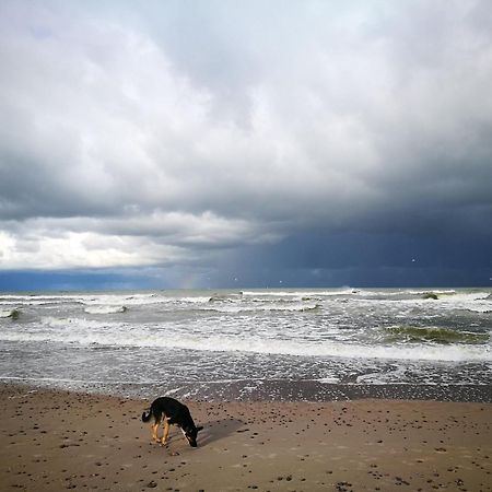 Provincija Otel Palanga Dış mekan fotoğraf