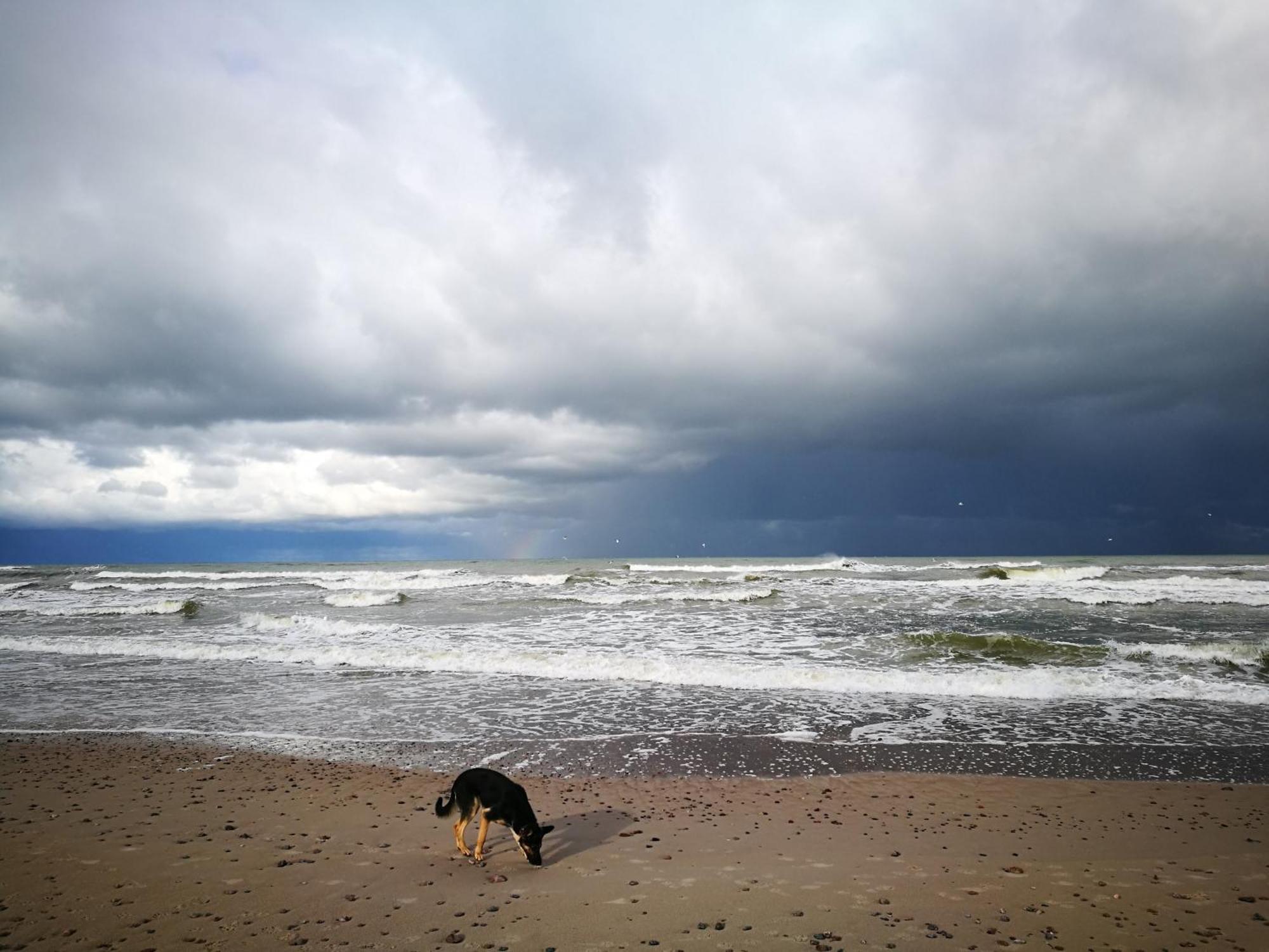 Provincija Otel Palanga Dış mekan fotoğraf