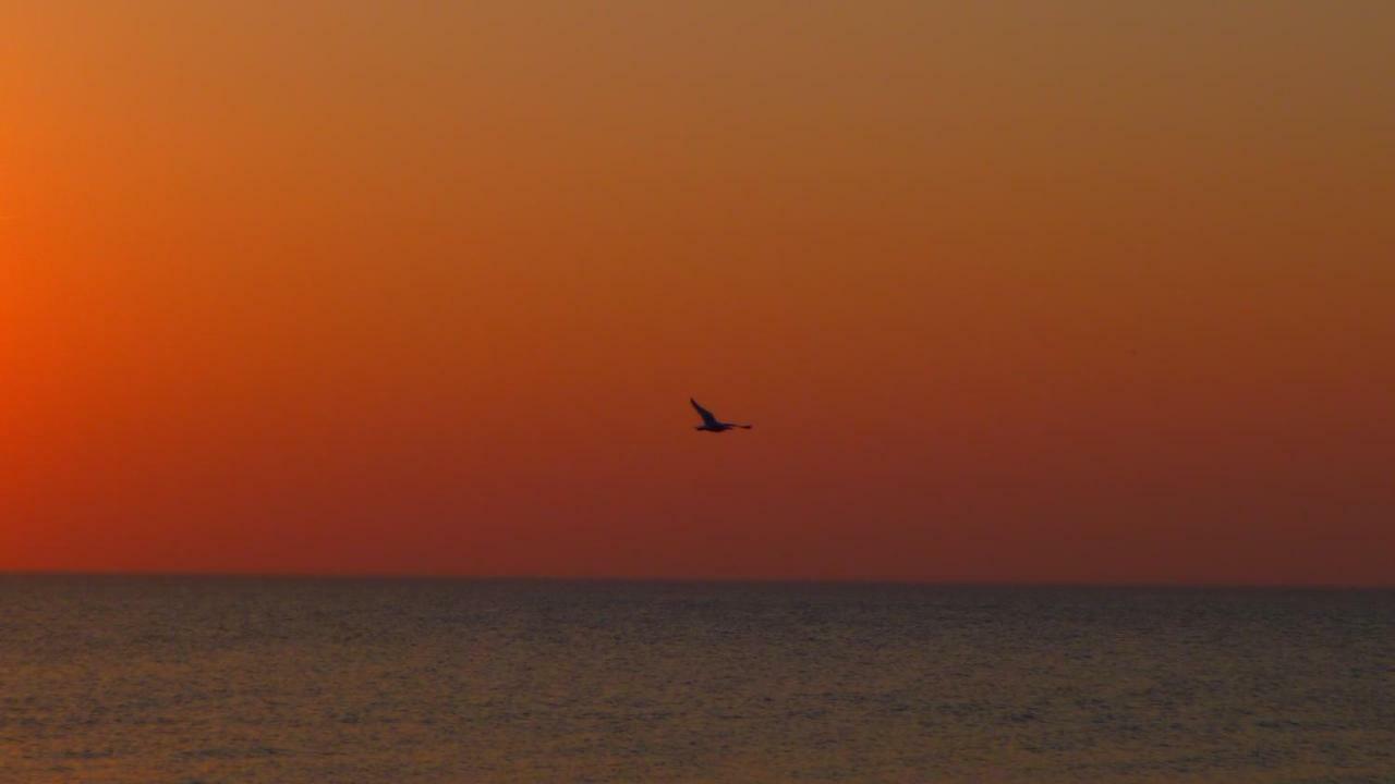 Provincija Otel Palanga Dış mekan fotoğraf
