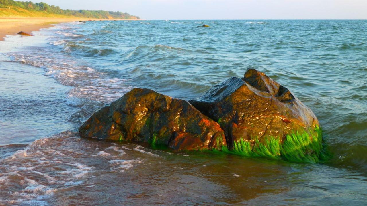 Provincija Otel Palanga Dış mekan fotoğraf